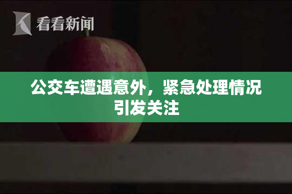 公交车遭遇意外，紧急处理情况引发关注
