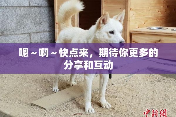 嗯～啊～快点来，期待你更多的分享和互动