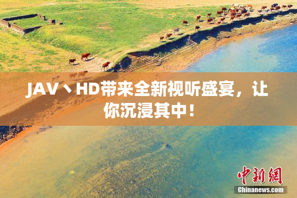 JAV丶HD带来全新视听盛宴，让你沉浸其中！