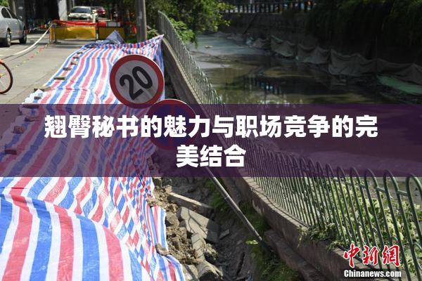 翘臀秘书的魅力与职场竞争的完美结合