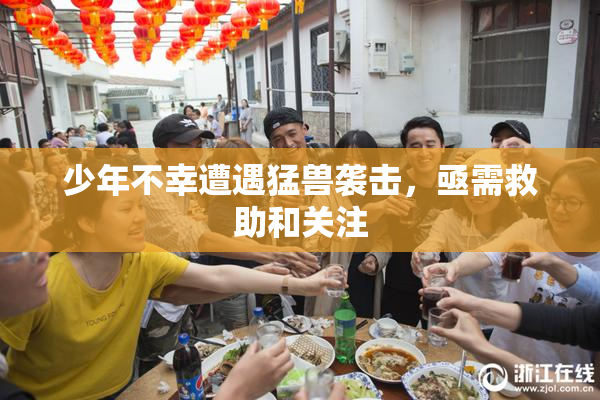 少年不幸遭遇猛兽袭击，亟需救助和关注
