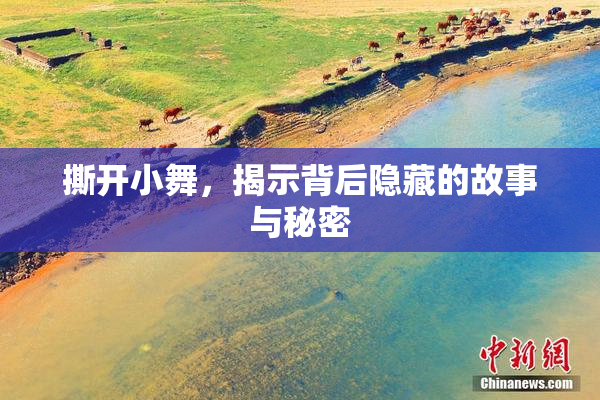 撕开小舞，揭示背后隐藏的故事与秘密