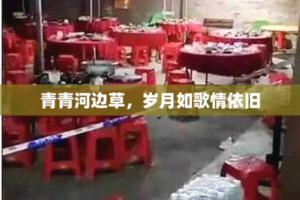 青青河边草，岁月如歌情依旧