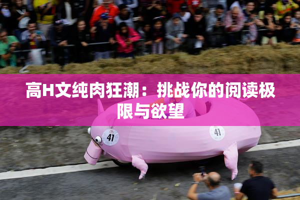 高H文纯肉狂潮：挑战你的阅读极限与欲望