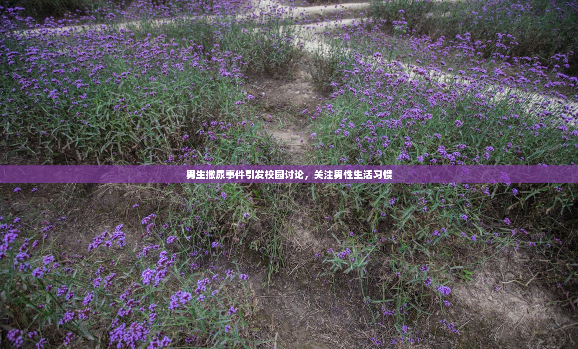 男生撒尿事件引发校园讨论，关注男性生活习惯