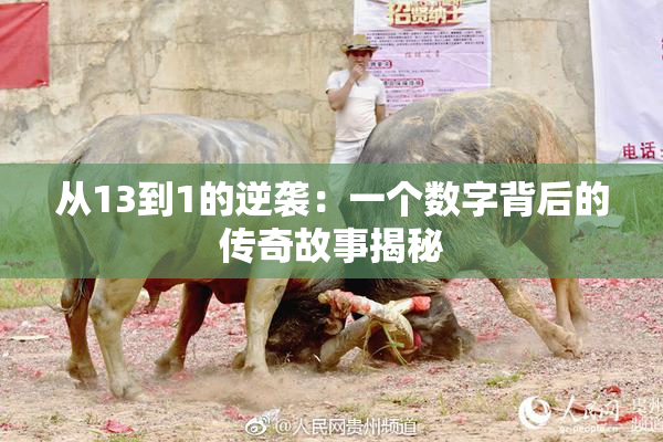 从13到1的逆袭：一个数字背后的传奇故事揭秘