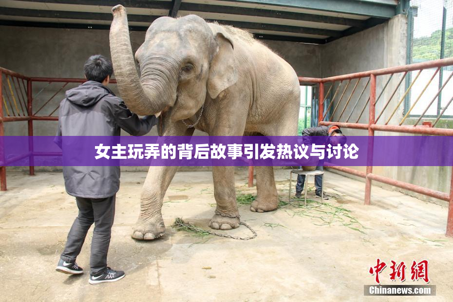 女主玩弄的背后故事引发热议与讨论