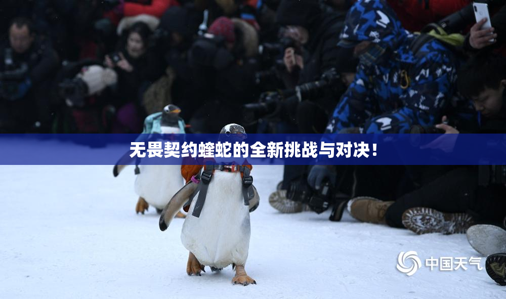 无畏契约蝰蛇的全新挑战与对决！