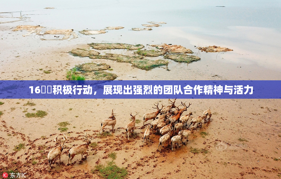 16妺妺积极行动，展现出强烈的团队合作精神与活力