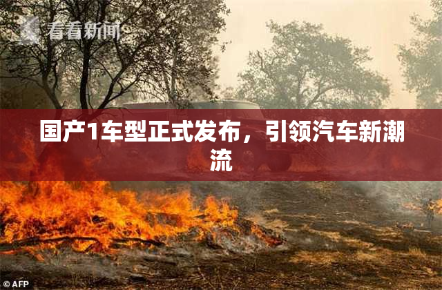 国产1车型正式发布，引领汽车新潮流