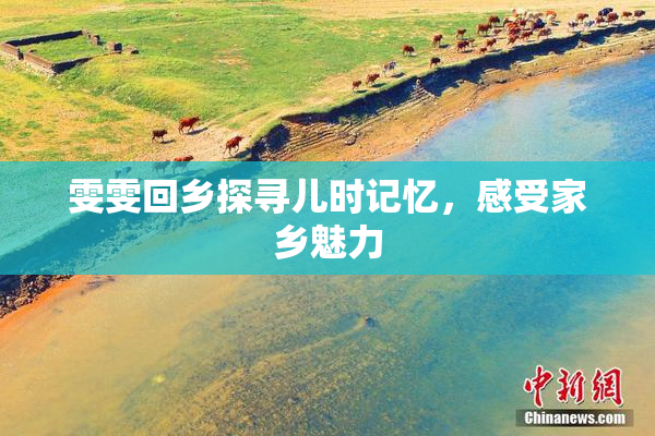 雯雯回乡探寻儿时记忆，感受家乡魅力