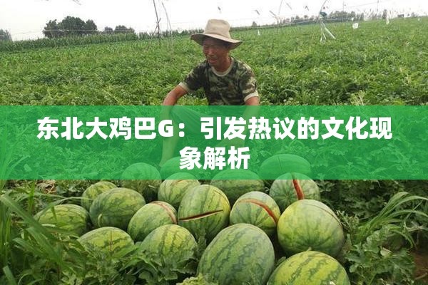 东北大鸡巴G：引发热议的文化现象解析