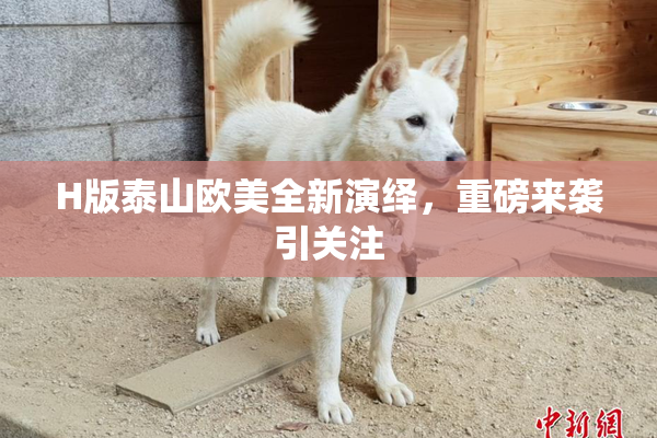 H版泰山欧美全新演绎，重磅来袭引关注
