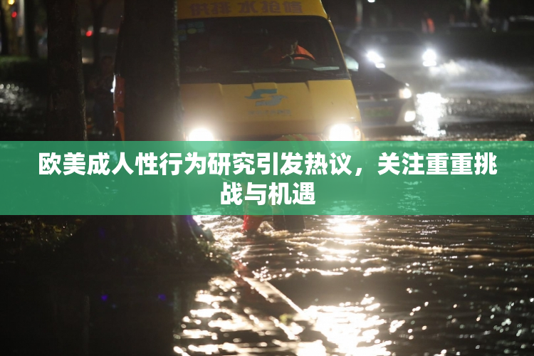 欧美成人性行为研究引发热议，关注重重挑战与机遇