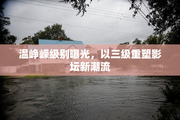 温峥嵘级别曝光，以三级重塑影坛新潮流