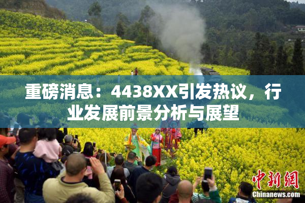重磅消息：4438XX引发热议，行业发展前景分析与展望