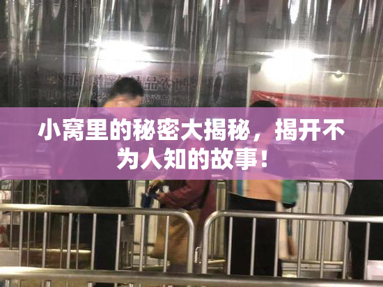 小窝里的秘密大揭秘，揭开不为人知的故事！