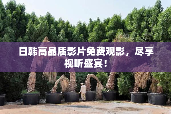 日韩高品质影片免费观影，尽享视听盛宴！