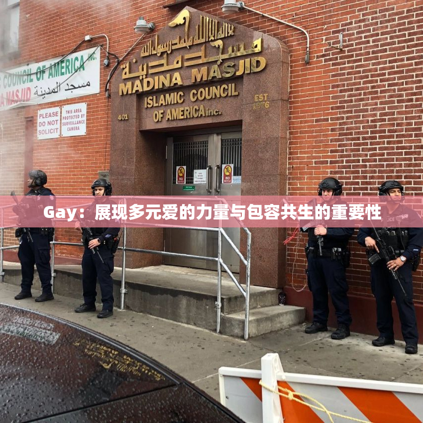 Gay：展现多元爱的力量与包容共生的重要性