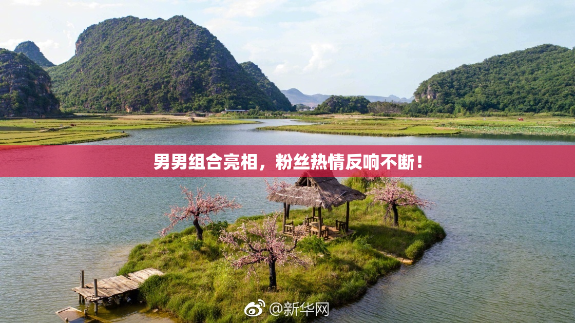 男男组合亮相，粉丝热情反响不断！