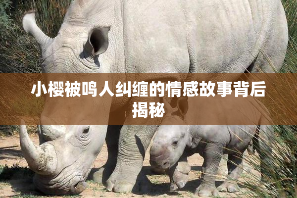 小樱被鸣人纠缠的情感故事背后揭秘
