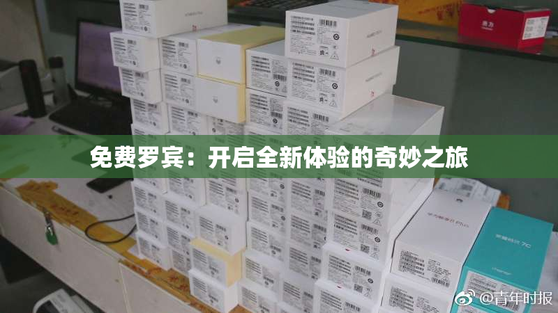 免费罗宾：开启全新体验的奇妙之旅