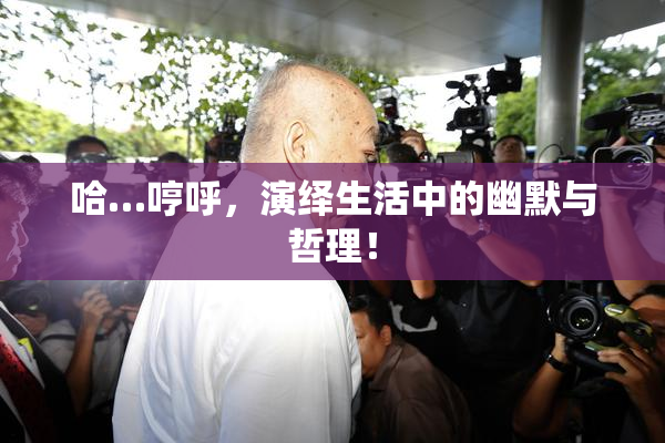 哈…哼呼，演绎生活中的幽默与哲理！