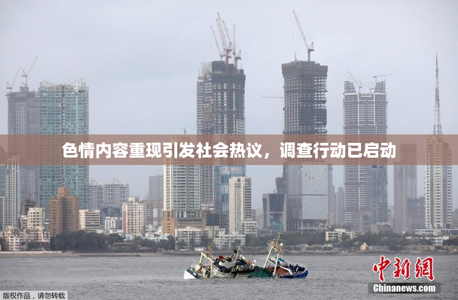 色情内容重现引发社会热议，调查行动已启动