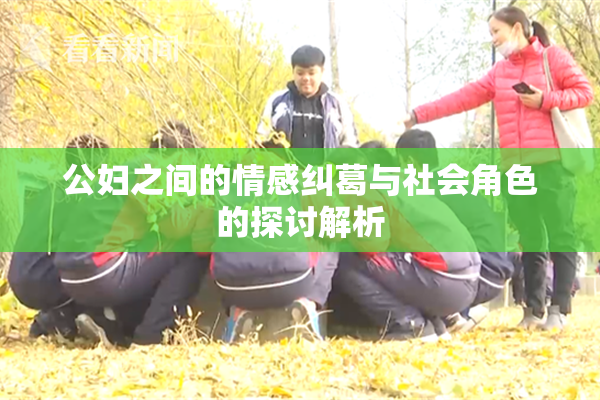 公妇之间的情感纠葛与社会角色的探讨解析