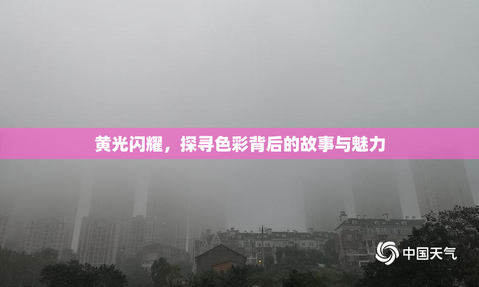 黄光闪耀，探寻色彩背后的故事与魅力