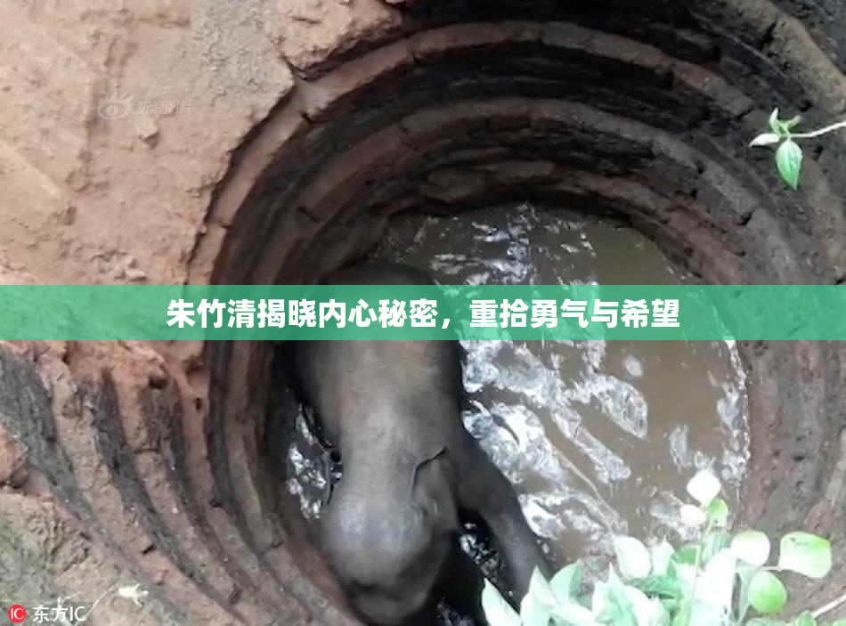 朱竹清揭晓内心秘密，重拾勇气与希望
