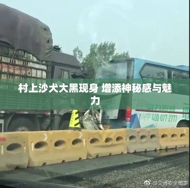村上沙犬大黑现身 增添神秘感与魅力