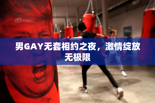 男GAY无套相约之夜，激情绽放无极限