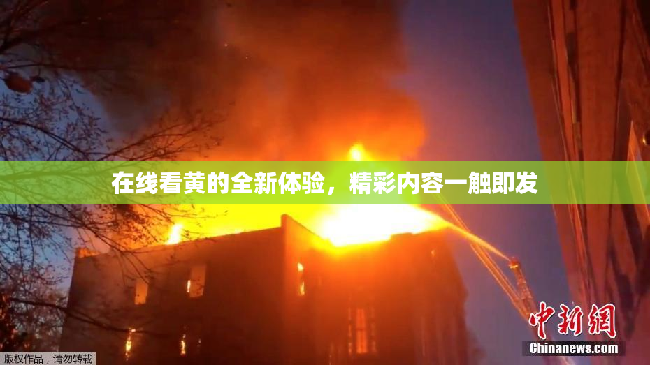 在线看黄的全新体验，精彩内容一触即发