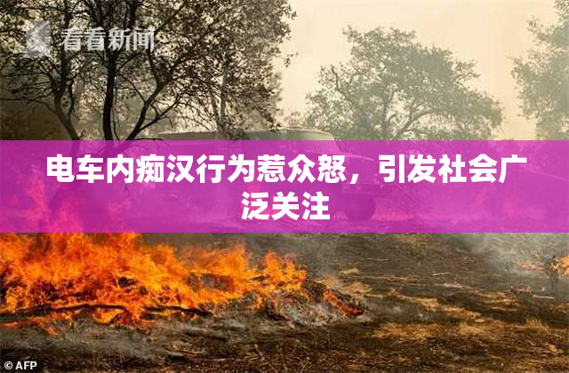 电车内痴汉行为惹众怒，引发社会广泛关注