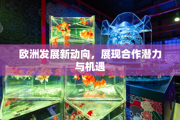欧洲发展新动向，展现合作潜力与机遇