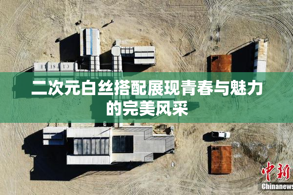 二次元白丝搭配展现青春与魅力的完美风采