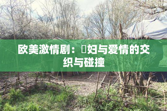 欧美激情剧：婬妇与爱情的交织与碰撞