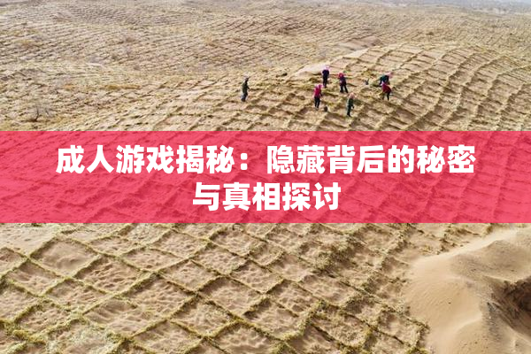 成人游戏揭秘：隐藏背后的秘密与真相探讨