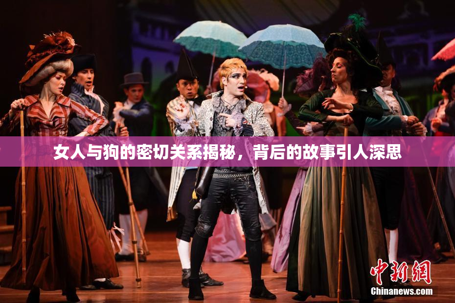 女人与狗的密切关系揭秘，背后的故事引人深思