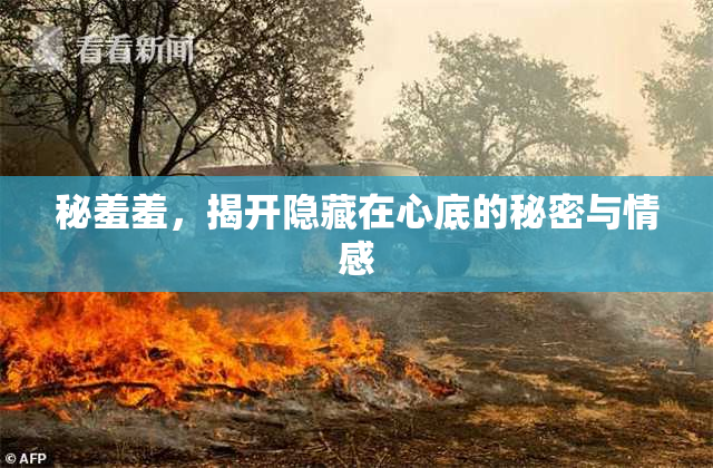 秘羞羞，揭开隐藏在心底的秘密与情感