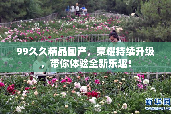 99久久精品国产，荣耀持续升级，带你体验全新乐趣！