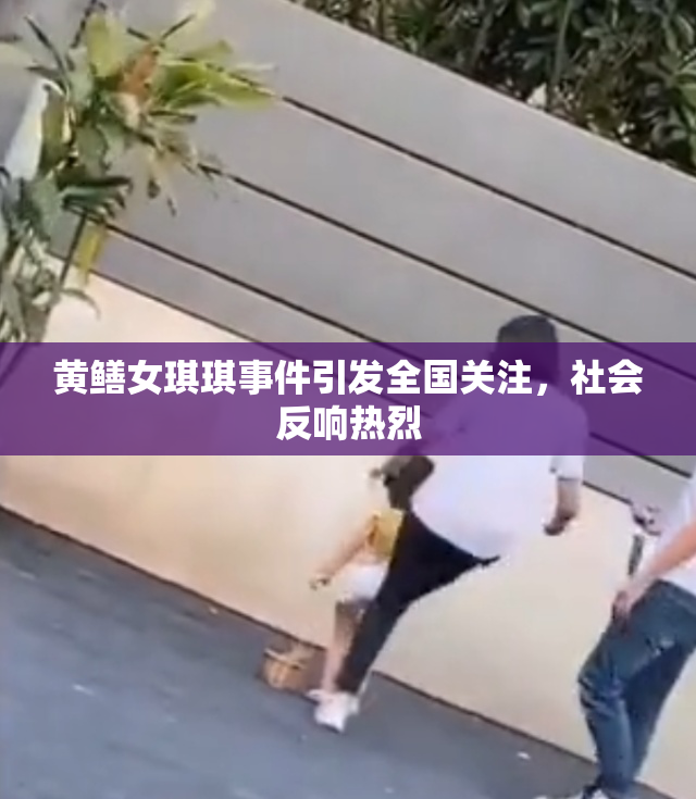 黄鳝女琪琪事件引发全国关注，社会反响热烈