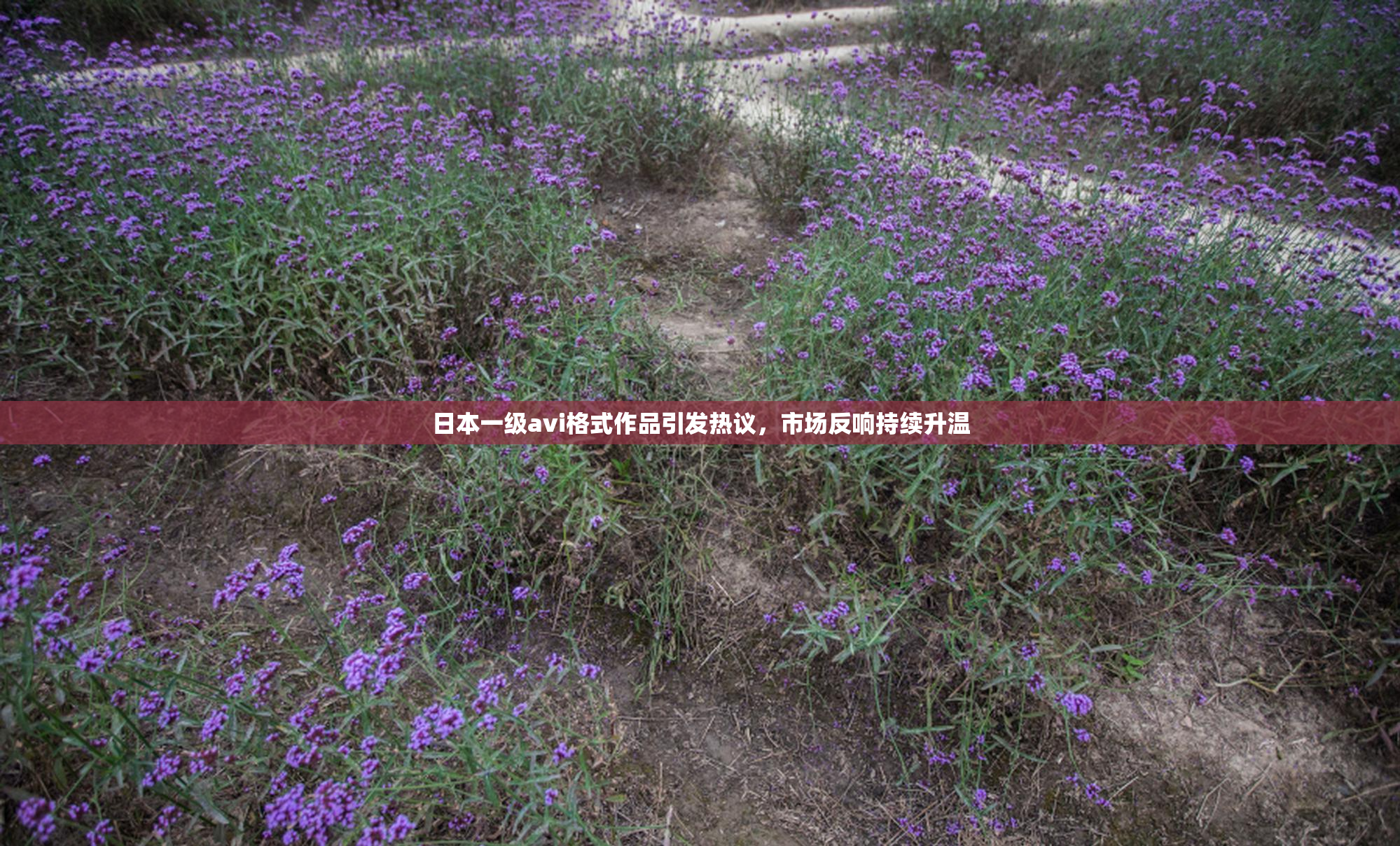 日本一级avi格式作品引发热议，市场反响持续升温