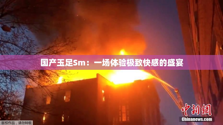 国产玉足Sm：一场体验极致快感的盛宴