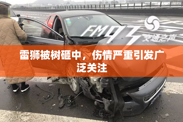 雷狮被树砸中，伤情严重引发广泛关注