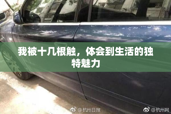 我被十几根触，体会到生活的独特魅力