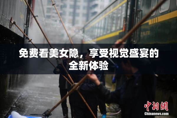 免费看美女隐，享受视觉盛宴的全新体验