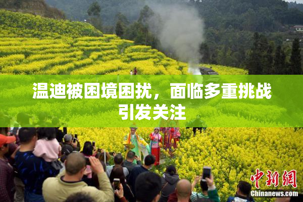 温迪被困境困扰，面临多重挑战引发关注