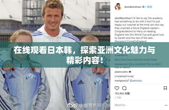 在线观看日本韩，探索亚洲文化魅力与精彩内容！